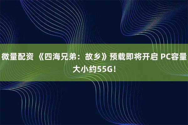 微量配资 《四海兄弟：故乡》预载即将开启 PC容量大小约55G！
