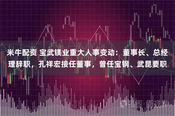 米牛配资 宝武镁业重大人事变动：董事长、总经理辞职，孔祥宏接任董事，曾任宝钢、武昆要职